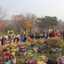 대구수목원 이미지