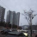 산천어마을 | 2026 화천산천어축제 초등학생과 산천어낚시 후기 (20마리잡음/주차/꿀팁)