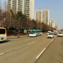 청솔(171) 이미지