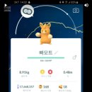 도사정일면 이미지
