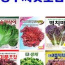 다팜농약사 이미지