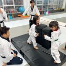 뿌리깊은나무 국기태권도장 이미지