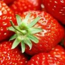 송어의꿈 이미지