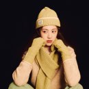 선해어 이미지