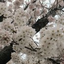 축산항초등학교 이미지