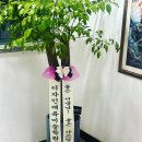 디자인애니최병문미술학원