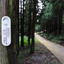 편백향기 이미지