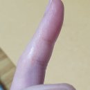 진평식당 이미지