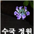 꽃이되는시간 이미지