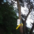 등고개주유소 | 화개지맥 43km