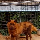 금순이농장 이미지