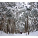 설경산수화 이미지