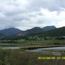 동강나루 이미지