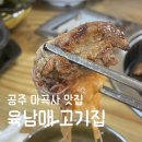 마곡사관광지 | 공주 마곡사 내돈내산 맛집 추천 육남매 고기집