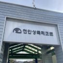 천안상록리조트 눈썰매장 6살4살다녀온후기