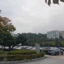 군위군청 티스토리