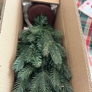조이 크리스마스 미니트리 풀세트 45cm 내돈내산 후기 : 크리스마스 인테리어 🌲