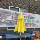 미시령통큰민물장어 이미지