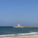 바솔트 크로스핏(BASALT CROSSFIT) 이미지