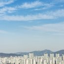 THE부동산공인중개사사무소 이미지