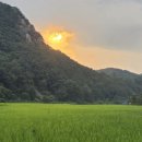 두루봉농원 이미지