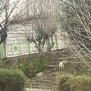 수백당 거제고현점 이미지