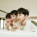 성원언어심리센터