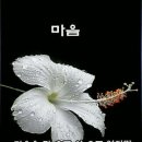 수요일 - 종로구 인사동길 36 | 수요일