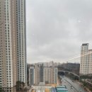 갤러리아백화점 이미지