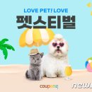 펫스티벌 이미지