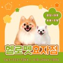 헬로펫 효자점 이미지