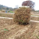 청태농장 이미지