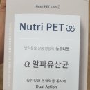 온누리미성약국 이미지