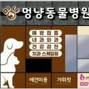 연성 동물병원 이미지