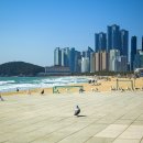 부산 이미지