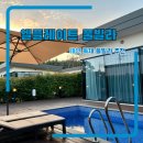 고냥이 | 태안 숙소 추천 엘플레이트 풀빌라 D동 내돈내산 후기