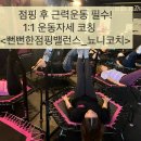 뻔뻔한점핑밸런스다이어트 이미지