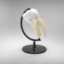 백석서울치과의원 이미지