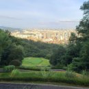 (주)캐슬렉스서울 네이버블로그