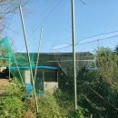 구구랜드 실키팜 이미지