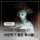 루게릿(LOOK AT IT) | 서귀포 가볼만한곳 사진찍기 좋은 루나폴