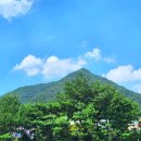 봉이커피 - 포항시 남구 냉천로298번길 44-6 | 대전 수통골 카페 공간태리에서 커피먹고 2차로 봉이호떡 먹기 내돈내산 재방문 후기