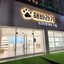대전 프리미엄 분양 미용실 "해바라기" 무타공 안전문 시공