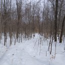 Killbear Provincial Park in Canada 이미지