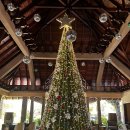 젤라빌라 앞 이미지