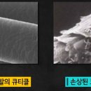 준오헤어반포점 네이버블로그