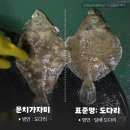 수암횟집 이미지