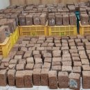 장한말길 이미지