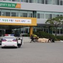 KT고령지사 이미지