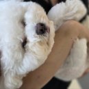 바우라움 메인캠퍼스 이미지